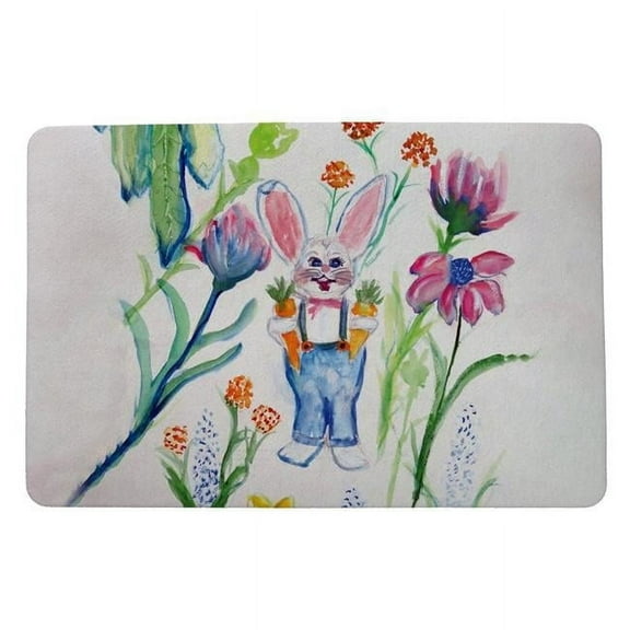 Betsydrake DM647 18 x 26 in. Mr Farmer Door Mat