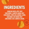 thumbnail image 4 of IZZE Sparkling Mango Juice Beverage, 8.4 Fl Oz Can, 4 of 8