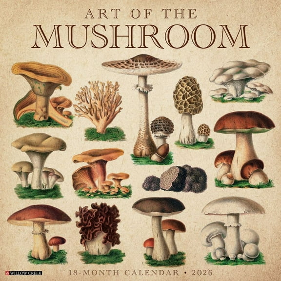 Willow Creek Press, Art of the Mushroom 2026 Wall Calendar, 12'' X 12'', 18-Month Calendar with Stapled Binding