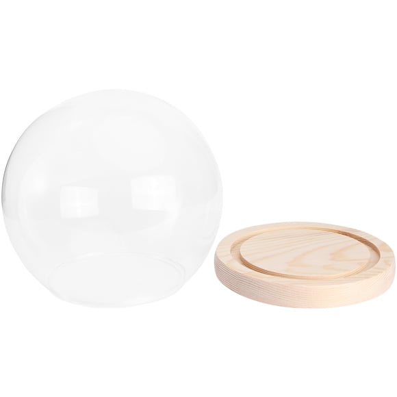 HEALEEP 1 Set Figurine Display Cases Glass Display Dome Cover Dustproof Modern Decorative Style