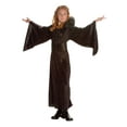 thumbnail image 1 of RG Costumes 91335-S RG Costumes SORCERESS- VELVET DRESS SML, 1 of 1