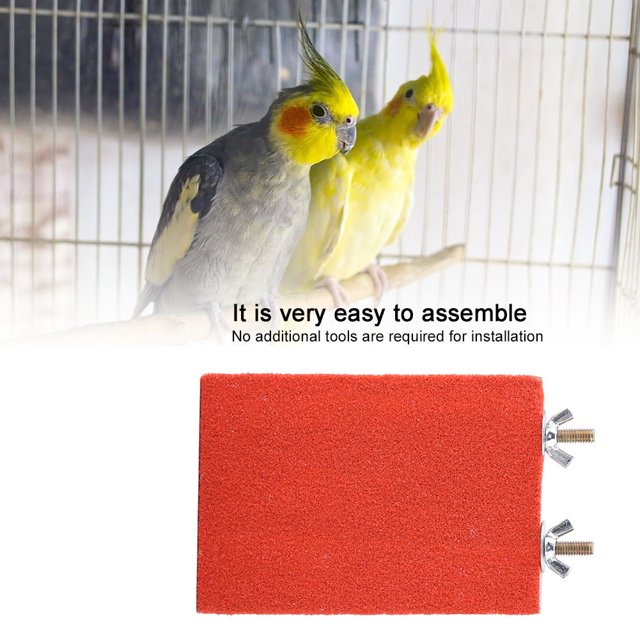 Percha, percha para pájaros, soporte no tóxico, soporte para perchas para mascotas, suministros para mascotas para pájaros para mascotas para jaula de pájaros Fugacal CW02375-01