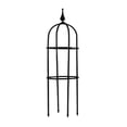 thumbnail image 1 of Juego de soporte para plantas de pérgola trepadora para jardín, jaulas de alambre de forma cónica para frutas trepadoras, 1 of 10