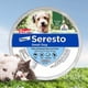 thumbnail image 3 of Collar antipulgas de goma, protección de 6 meses, prevención de alergias para perros y gatos, 2 uds., 3 of 8