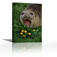 thumbnail image 1 of Southern Elephant Seal yearling calling, Campbell Island, New Zealand - Contemporary Fine Art Giclee on Canvas Gallery Wrap - wall décor - Art painting - 24 x 36 Inch - Ready to Hang, 1 of 2