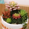thumbnail image 4 of De Resina, , Jardinera, Jardín, , , Decoración, Redondo, 9cm, 10cm, 17cm Soledad Planta de flores de resina, 4 of 10