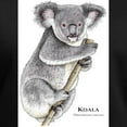 thumbnail image 3 of CafePress - Koala Women's V Neck Dark T Shirt - Women's V-Neck Dark T-Shirt, 3 of 4