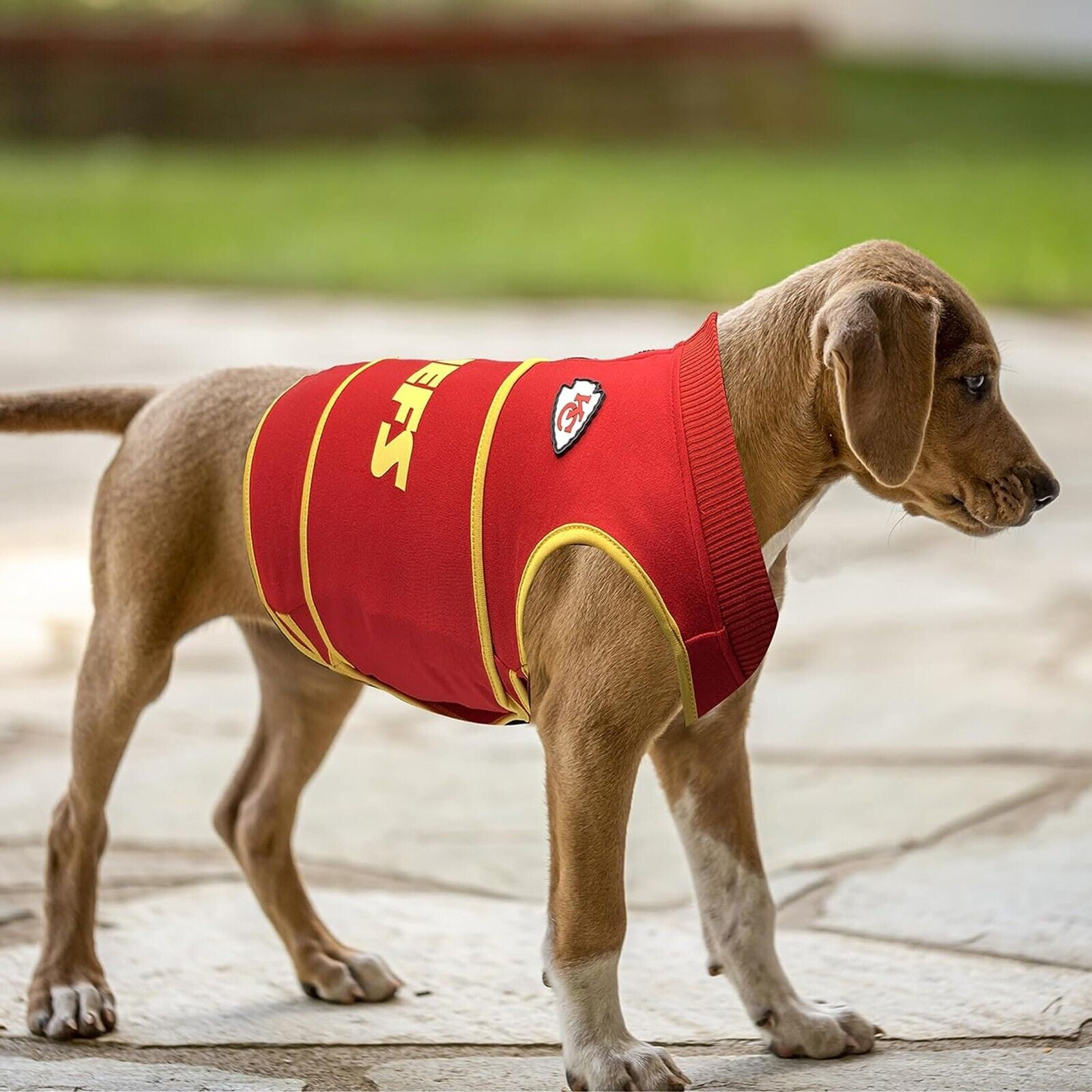 Pets First NFL Kansas City Chiefs Dog Anxiety Calming Shirt Soothing Solution Vest, Dogs & Cats Keeps Dogs Calm & Feeling Safe, Relaxing Jacket, Large