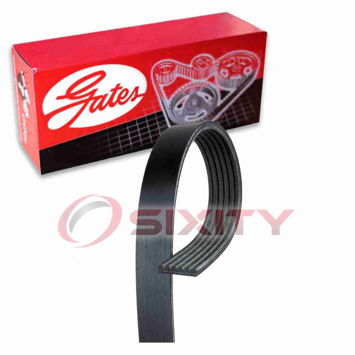 Serpentine Belt