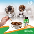 thumbnail image 6 of Beloved Pets Flea & Tick Defense Liquid Drops for Dogs and Cats - Neem, Glucosamine & MSM - Supports Joint & Immune Health, 2 fl oz, 6 of 8