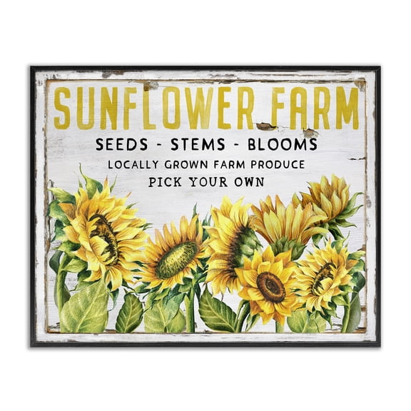 Stupell Industries Antique Sunflower Seeds Plants & Flowers Painting Black Framed Art Print Wall Art, 14 x 11
