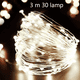 thumbnail image 2 of Paquete de 3 cuerdas de luces de hadas con pilas con control remoto, 10 pies 30 LED, para jardines, 2 of 5