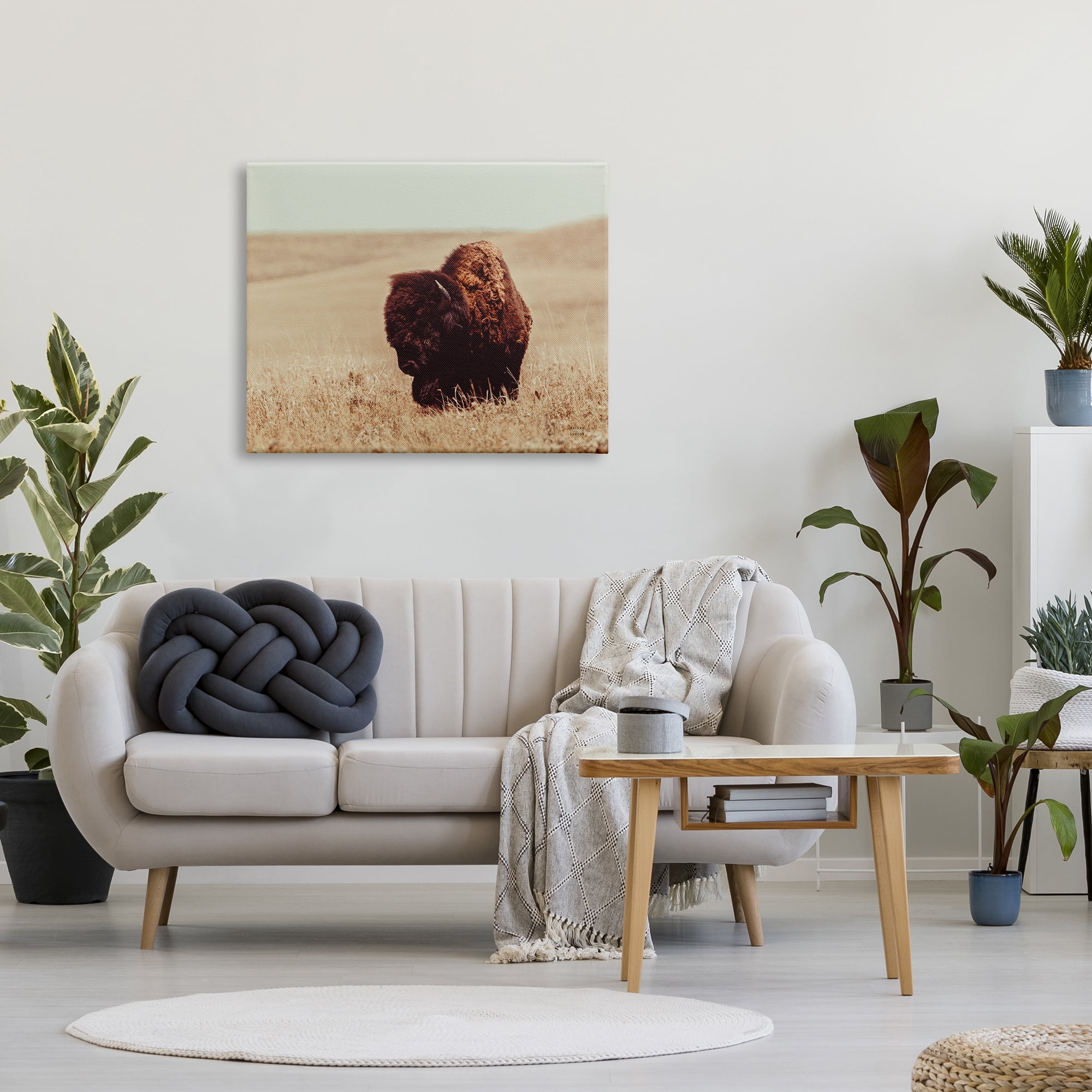 Stupell Industries Bison Grazing Tall Grass Animals & Insects Photography Gallery Wrapped Canvas Art Print Wall Art, 40 x 30