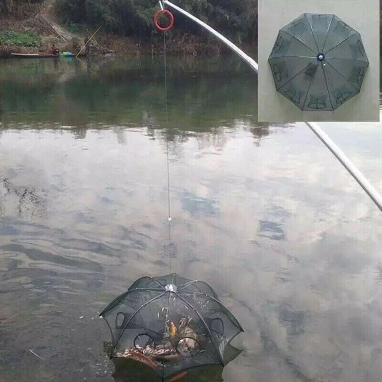 Foldable Minnow Shrimp Crawfish Fishing Net Fishing Trap Net - Foldable ...