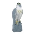 thumbnail image 2 of Estatua de Águila Jardín Simulada Decorativa Realista para Disuadir Aves Esculturas de Patio Material PE Adecuada para Protección de Huertos Césped Año 1201, 2 of 8