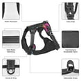 thumbnail image 6 of Lsque Cat Icecream Dog Harness, No-Pull Pet Harness with 2 Leash Clips, Adjustable Soft Padded Dog Vest with Easy Control Handle for Large Dogs-, 6 of 9
