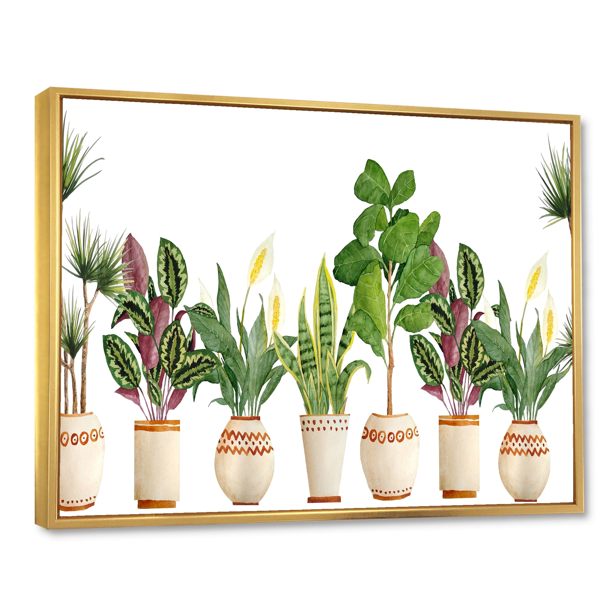 Designart 'Trio of Houseplants Sanseviera Snake Plants On White' Farmhouse Framed Canvas Wall Art Print