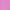 Orchid Bloom, variant on Weekend Academy Girls Seamless Rib Shorts, Sizes 4-18
