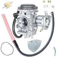 Carburetor Replacement for Yamaha Rhino 450 YXR450FASE YXR450FH YXR450FA YXR450FAH YXR450FSE 2006–2009, Compatible with 2P5-E4901-01-00