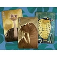 thumbnail image 3 of Similo: Wild Animals - Cooperative Deduction Card Game, Horrible Guild, Ages 7+, 2+ Players, 10 Min, 3 of 9