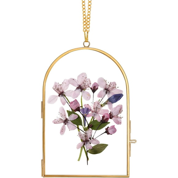 shiyou-Glass Pressed Flower Frame Handmade, Glass Frame For Pressed Flowers, Wall Hanging Floating Frame, Unique Double Glass Picture Frame for Dried Flowers Poster Home Decor, ArcShapedGold