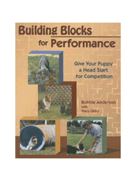 Building Blocks for Performance (Paperback) by Bobbie Anderson, Tracy Libby