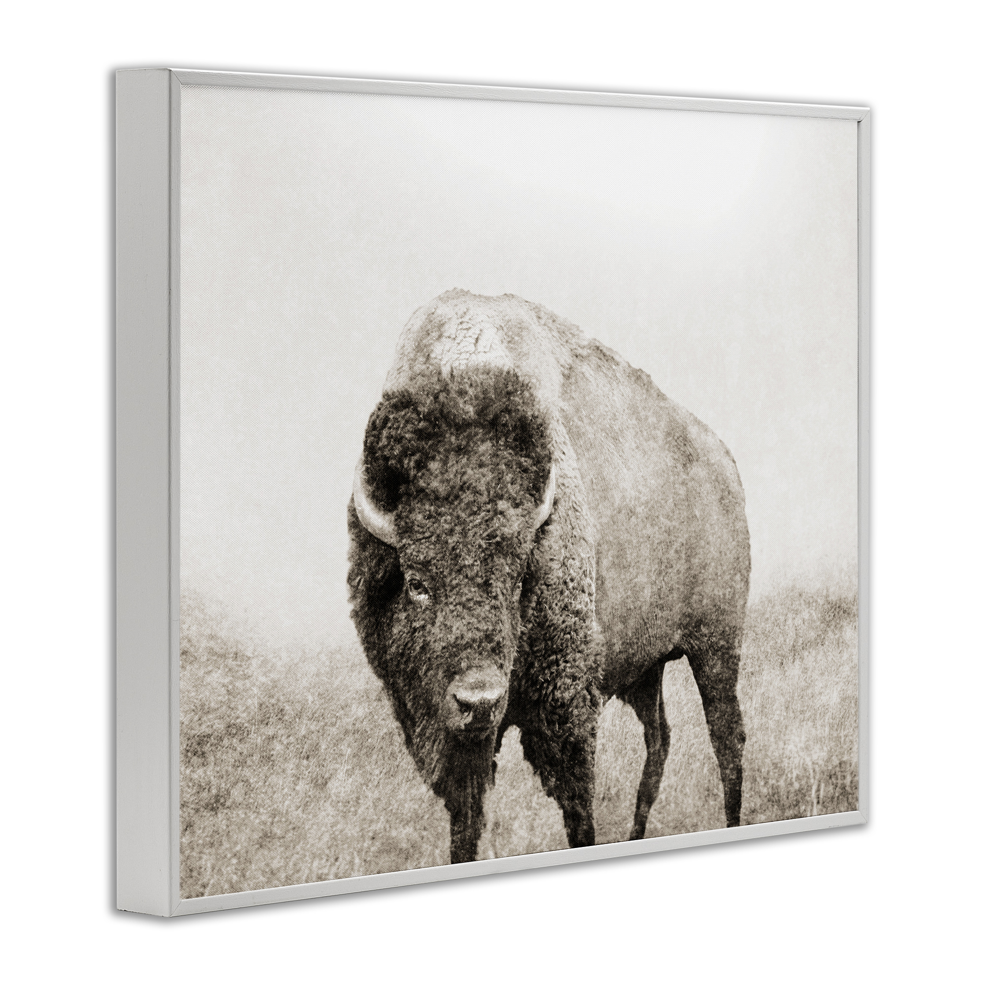 Stupell Industries Bison Distressed Portrait Animals & Insects Photography White Framed Art Print Wall Art, 30 x 24