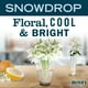 thumbnail image 2 of Loción de manos Mrs. MEYER'S CLEAN DAY Snowdrop Scent 350 ml, 2 of 9