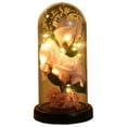 thumbnail image 2 of LSLJS Artificial Immortal Flowers Valentines Day Gifts, Realistic Plastic Rose Flowers in Glass Dome with LED Lights Glowing Eternal Floral Ornaments Romantic Love Decorations for Women Girls Wedding, 2 of 7