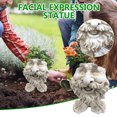thumbnail image 2 of CAROOTU The Face Statue Planter Resin Funny Face Figurine Plant Pot Creative Art Spring Decorations Desktop Organizer, 2 of 5