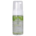 thumbnail image 1 of Intimate Earth Foaming Toy Cleaner, Infused with Tea Tree Oil, 3.4 oz, 1 of 1