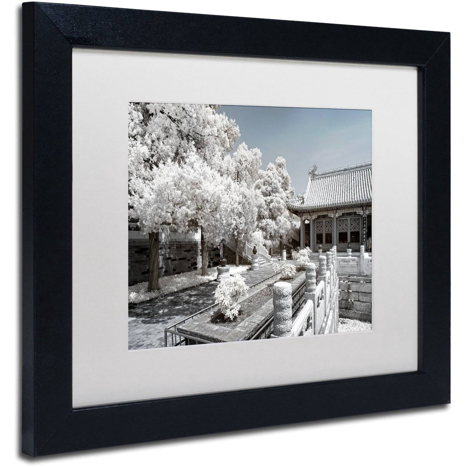 Trademark Fine Art "Reflection" Canvas Art by Philippe Hugonnard, White Matte, Black Frame