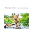 thumbnail image 3 of Ourlova Duck Dog Toy. Training Dummy Retrieving Dog Toy Duck Bumper Retriever. Pheasant Dog Toy. Duck Rope Toy. Dog Training Toy For Small. Medium And Large Dogs, 3 of 7
