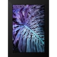 thumbnail image 2 of Villa, Mlli 17x24 Black Modern Framed Museum Art Print Titled - Night Foliage, 2 of 5