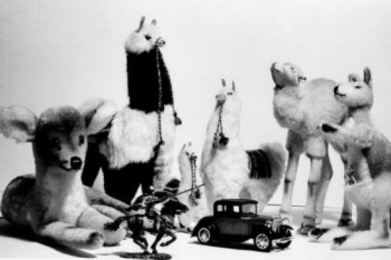 Close-up Of A Group