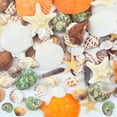 thumbnail image 4 of 80+ pcs Mixed Sea Shells Colorful Natural Beach Seashells Starfish Ocean Shell Fishtank Crafts Ornaments for DIY Beach Theme Party Home Wedding Candle Decorations(Various Styles Sizes), 4 of 7