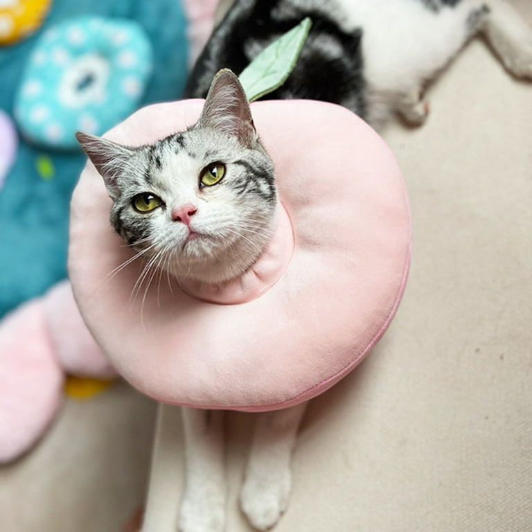 Cat wide shop width