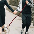 thumbnail image 4 of Reflective Pet Leash Elastic Dog Bungee Leash for Pets Running Hiking Jogging Waking (Red), 4 of 9