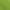 Lime, variant on Polyester Spandex Womens Full Length Leggings, Black