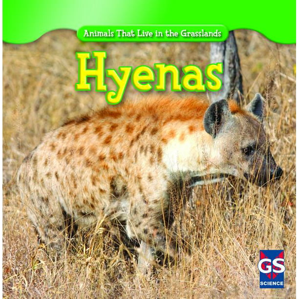 Animals That Live in the Grasslands: Hyenas (Hardcover) 