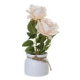 thumbnail image 2 of 1 Set Fake Flower Simulation Wear-resistant Plastic Everlasting Artificial Flower Pot for Home, 2 of 9