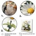 thumbnail image 3 of Designart "Calm Stone with a Daisy Flower III" Floral Framed Wall Art Decor - Traditional White Daisy Entryway Framed Wall Art, 3 of 6