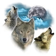 thumbnail image 2 of CafePress - Wolves Moon Mug - 11 oz Ceramic Mug - Novelty Coffee Tea Cup, 2 of 4