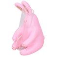 thumbnail image 1 of Decoración de jarrones hidropónicos estatua de conejo tubo de ensayo hidropónico resina resistente a la intemperie multiusos lindo para muebles para balcón ANGGREK Otros, 1 of 8