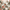Red Mountain Pattern, variant on Yayeee Area Rugs for Living Room 5.2'x4' Non Slip Washable Bedroom Floor Carpet, Light Brown Pattern