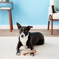 thumbnail image 3 of Ethical Pets 54315 Bambone Wish Bone Bacon Pet Chew Toys, 3 of 5