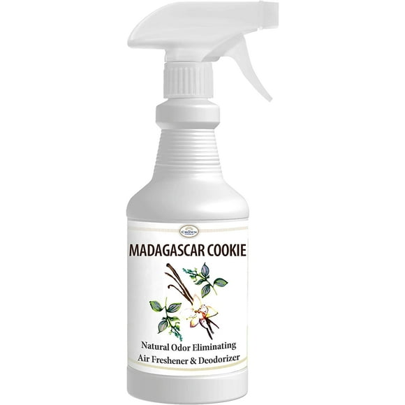 Room Deodorizers For Home