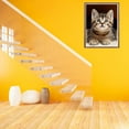 thumbnail image 2 of 5D DIY Diamond Painting Set "Cute Kitten, Pet Cat" Round Diamond Art Crafts for Adults, Suitable for Wall Decoration, Bedroom and Home Decoration, 2 of 6