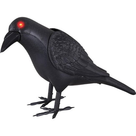 Animated Crow Costume
