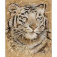 thumbnail image 2 of Barrett, Chad 15x18 Black Ornate Wood Framed with Double Matting Museum Art Print Titled - Safari Tiger, 2 of 4